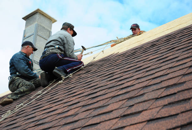 Best Gutter Installation and Roofing  in Banks Springs, LA